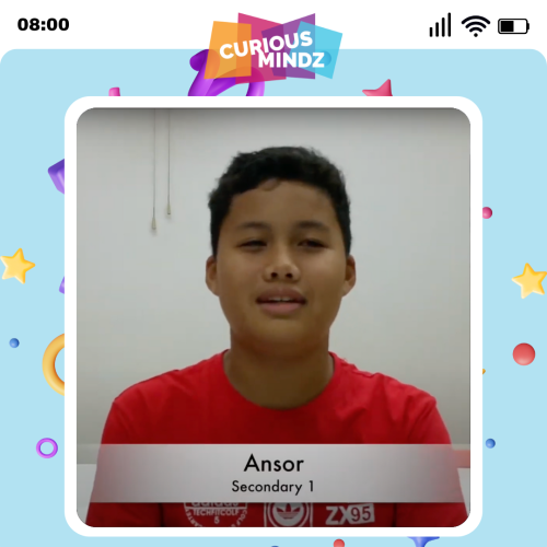 Ansor