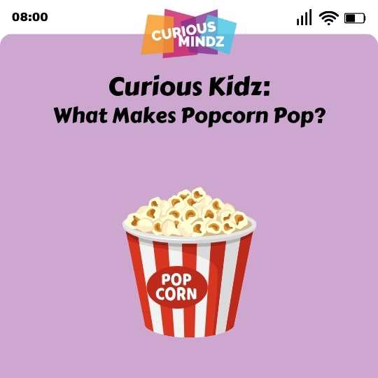 Curious Kidz: What Makes Popcorn Pop?