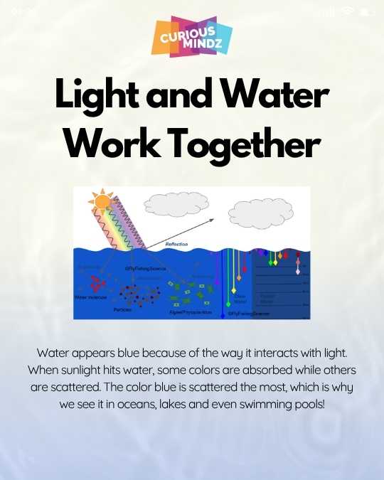 1. The Quick Answer: Light and Water Work Together
