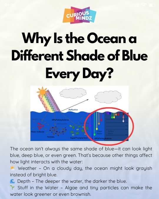 3. Why Is the Ocean a Different Shade of Blue Every Day?
