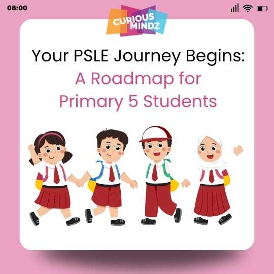 Your PSLE Journey Begins: A Roadmap for Primary 5 Students