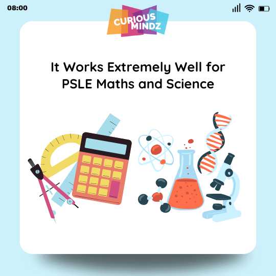 It Works Extremely Well for PSLE Maths, Science and English