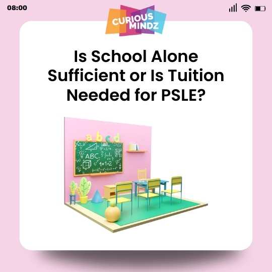 Is School Alone Sufficient or Is Tuition Needed for PSLE?