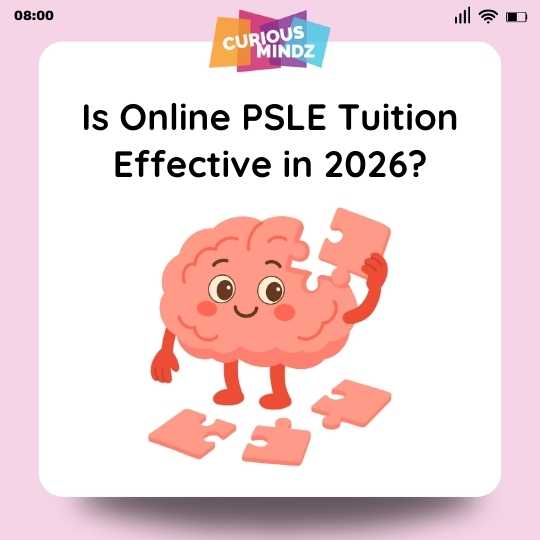 Is Online PSLE Tuition Effective in 2026?