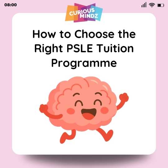 How to Choose the Right PSLE Tuition Programme