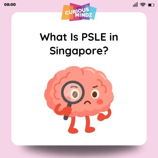 What Is PSLE in Singapore?
