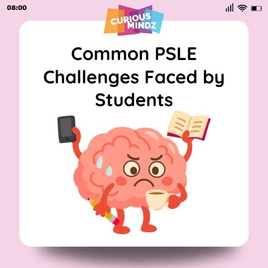 Common PSLE Challenges Faced by Students