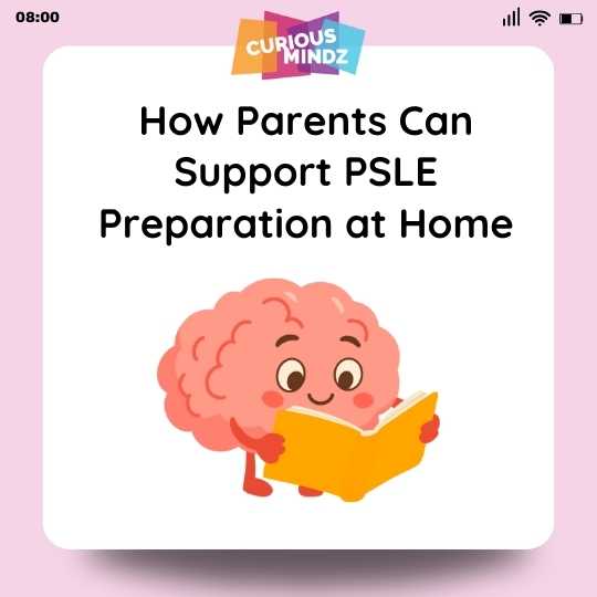 How Parents Can Support PSLE Preparation at Home